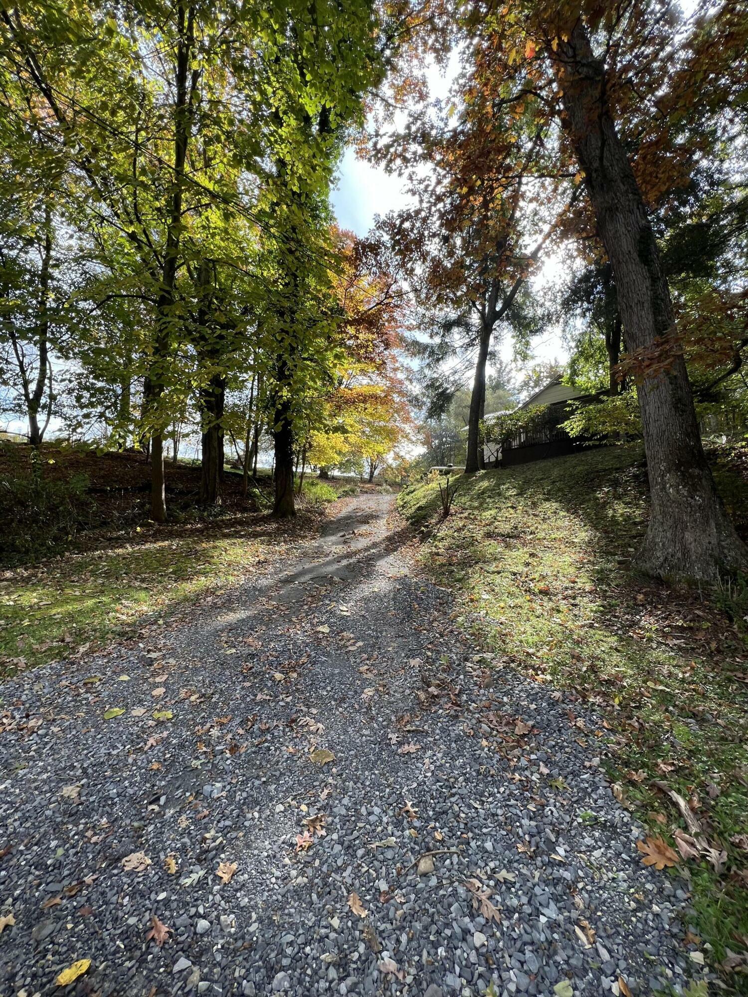 Property Photo:  730 Kieffer Rd  WV 24931 