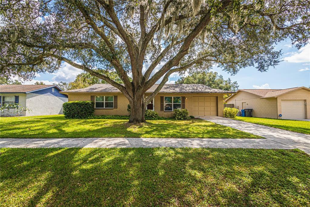 Property Photo:  610 Avocado Drive  FL 33584 