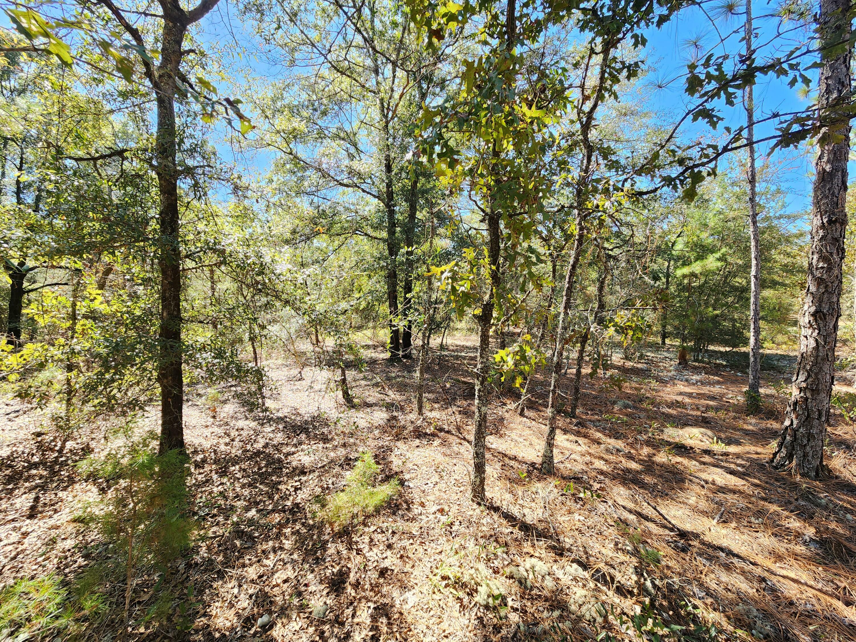 Property Photo:  Lots 13&14 E Yellow Poplar Avenue Blk 30 Oakwood Hills  FL 32433 