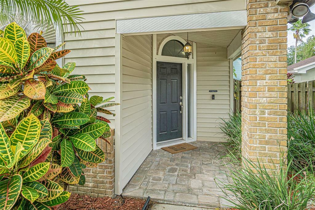 Property Photo: 3579 Deer Run S FL 34684