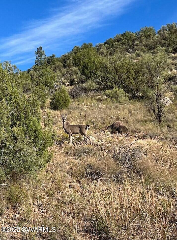 Property Photo: 4765 E Deer Run Tr AZ 86335
