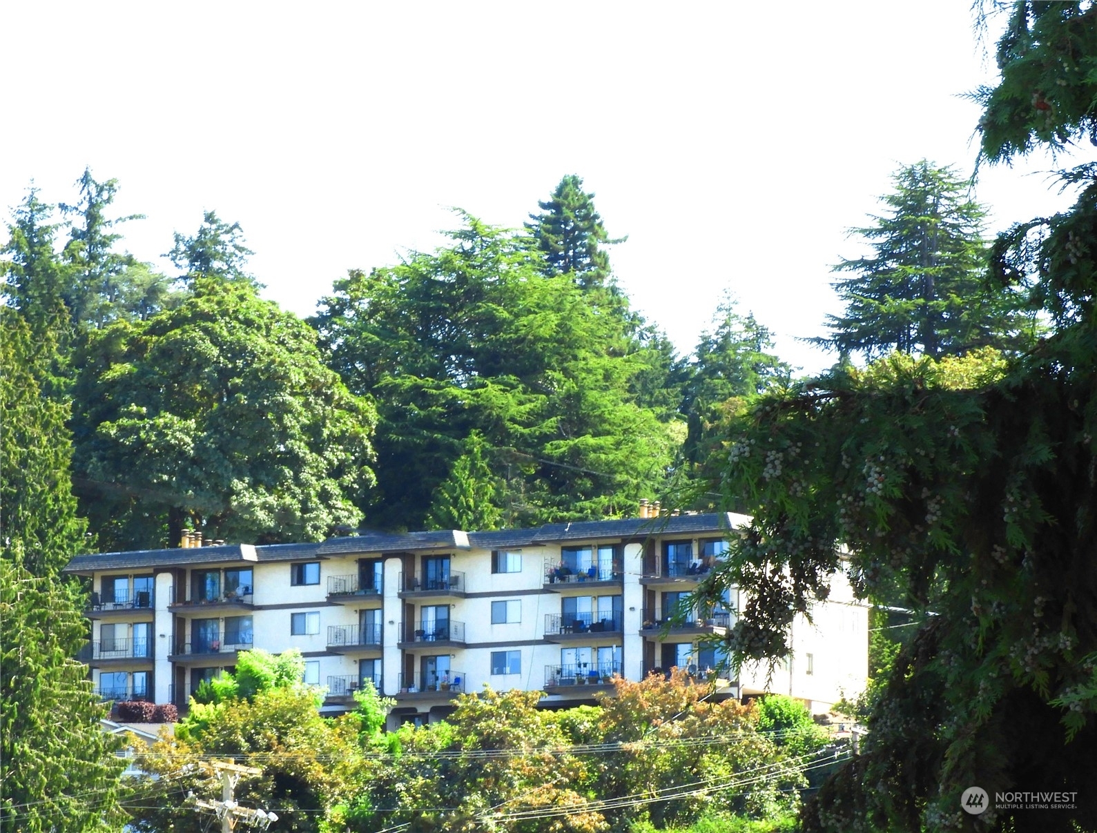 Property Photo: 317 Kennebeck Avenue S 103 WA 98030