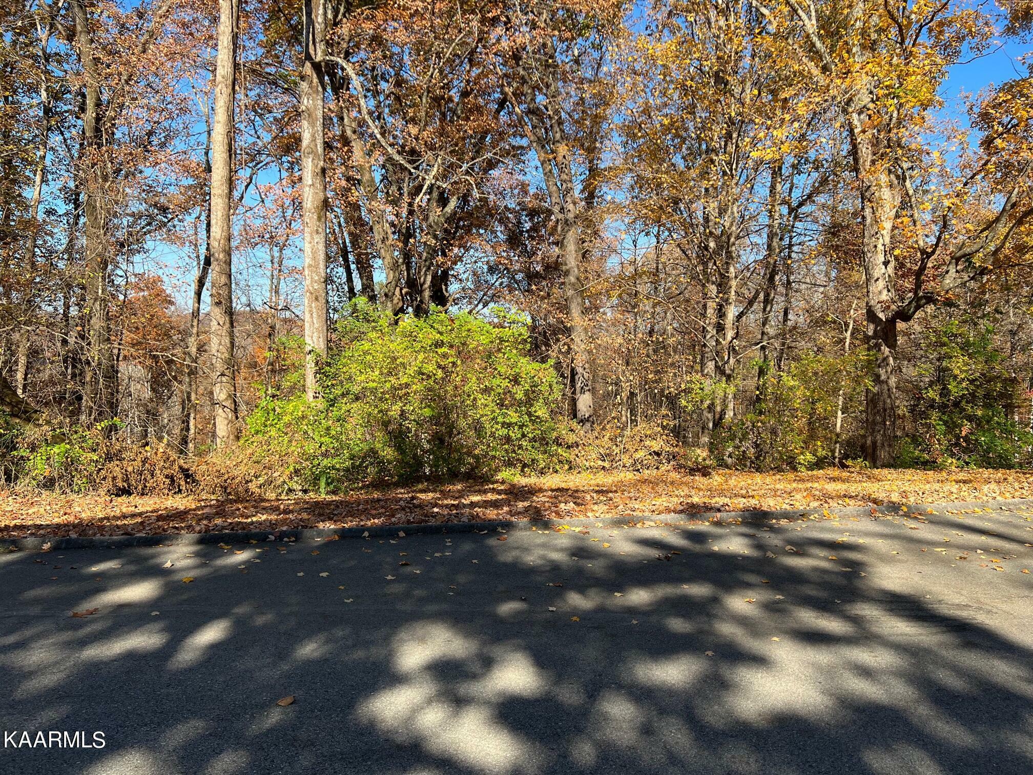 Property Photo:  0 Windy Way Lot 73 Drive  TN 37932 