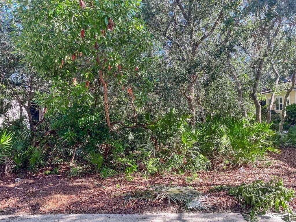 Property Photo:  1566 Nolen Lane  FL 32034 