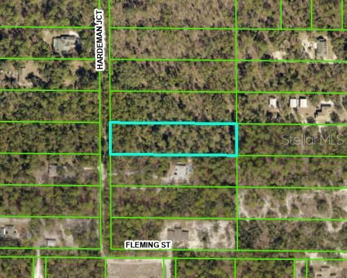 Property Photo:  Lot 21 Hardeman Junction  FL 34614 