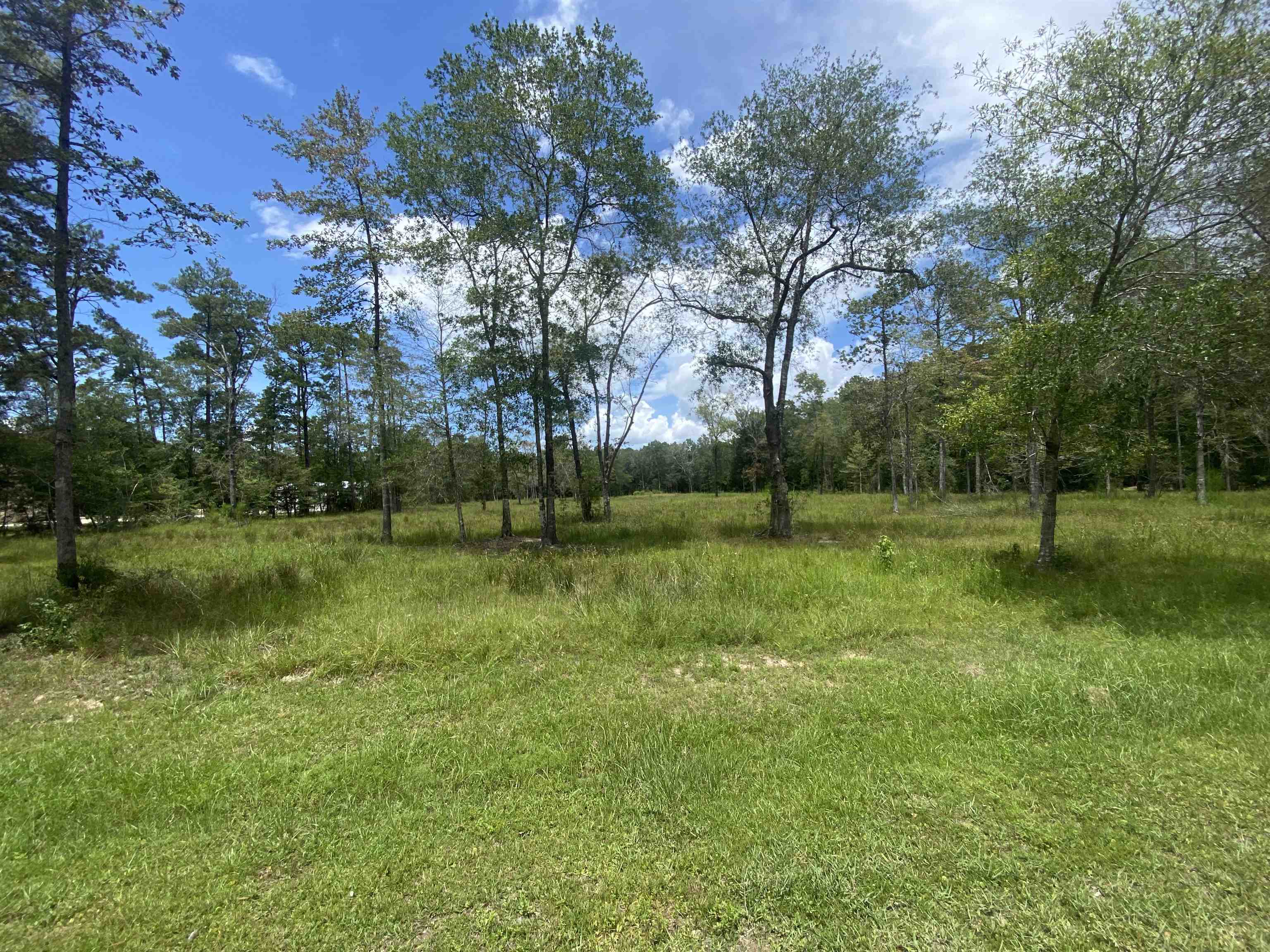 Property Photo:  7699 Park Road  TX 77657 