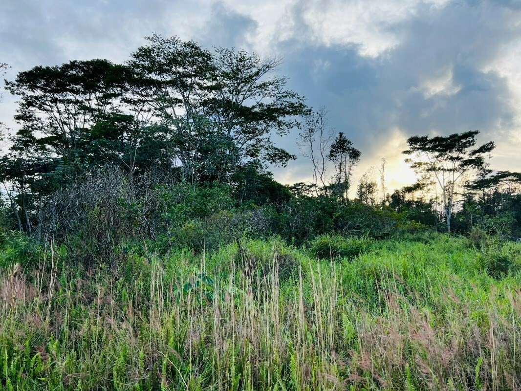 Property Photo:  16-2080 Jewel Dr  HI 96760 