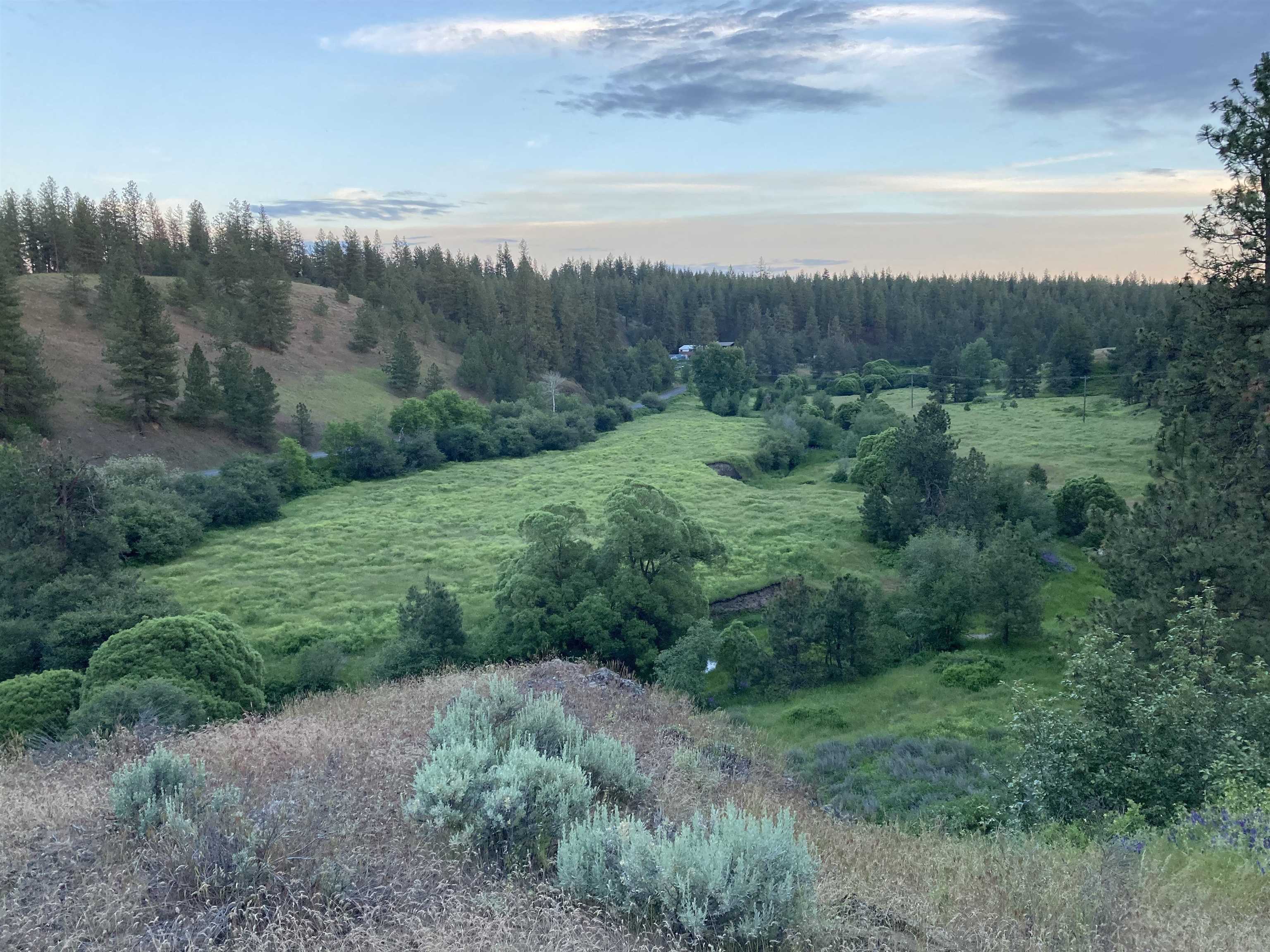 Property Photo: 0 N Deep Creek Rd WA 99022