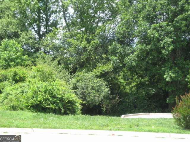 Property Photo: 0 Scarlett Place GA 30108