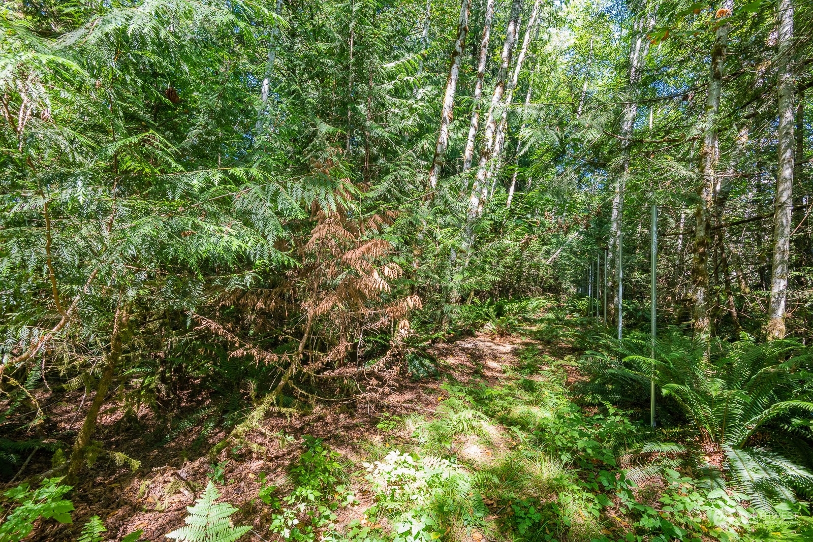 Property Photo:  0 Hide A Way Lane  WA 98383 