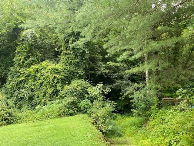 Property Photo:  0 Old Wiley Branch Road  KY 41254 