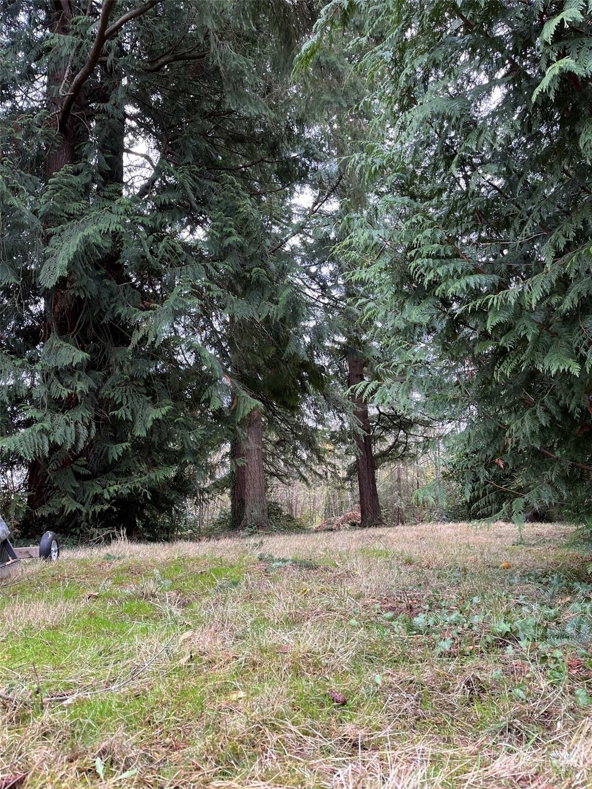 Property Photo:  18720 49th Place NE  WA 98155 