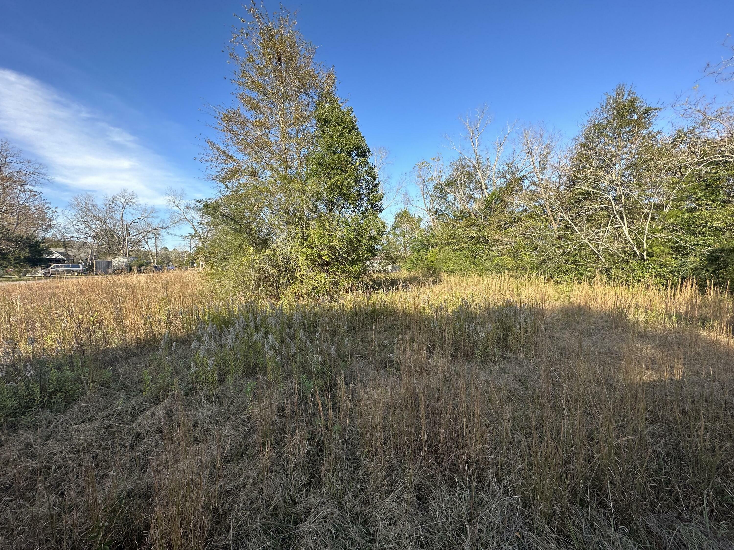 Property Photo:  Tbd First Avenue  FL 32567 