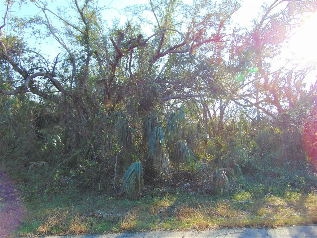 Property Photo:  Bowen Avenue  FL 34288 