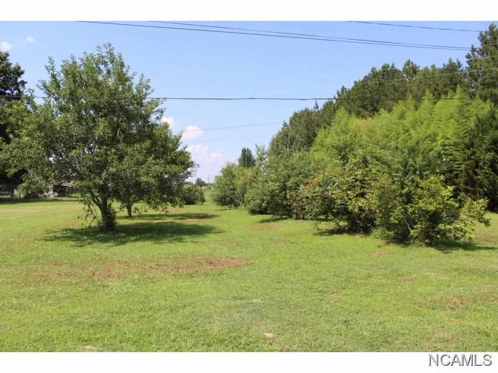 Property Photo: 0 Co Rd 555 AL 35077 - HANCEVIL