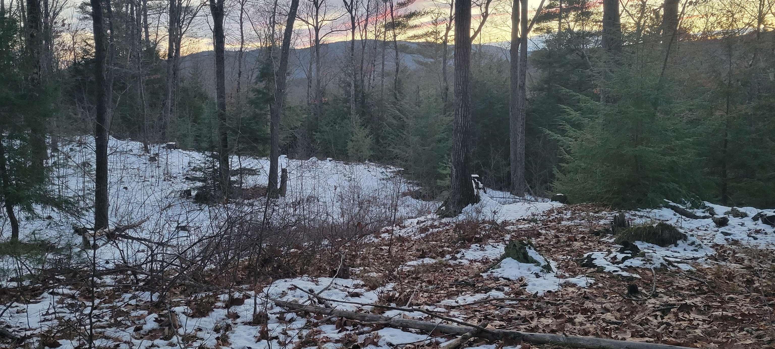 Property Photo: 0 Newton Road VT 05354