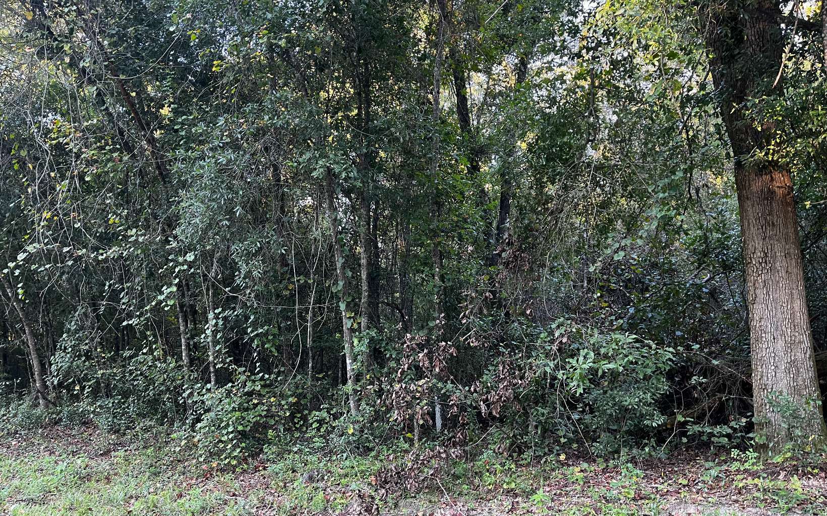 Property Photo:  