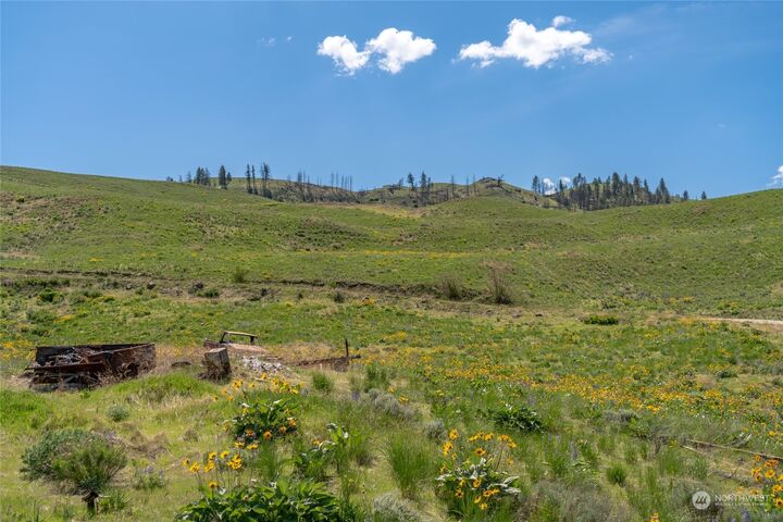 Property Photo:  898 Chelan Hills Acres Road  WA 98843 