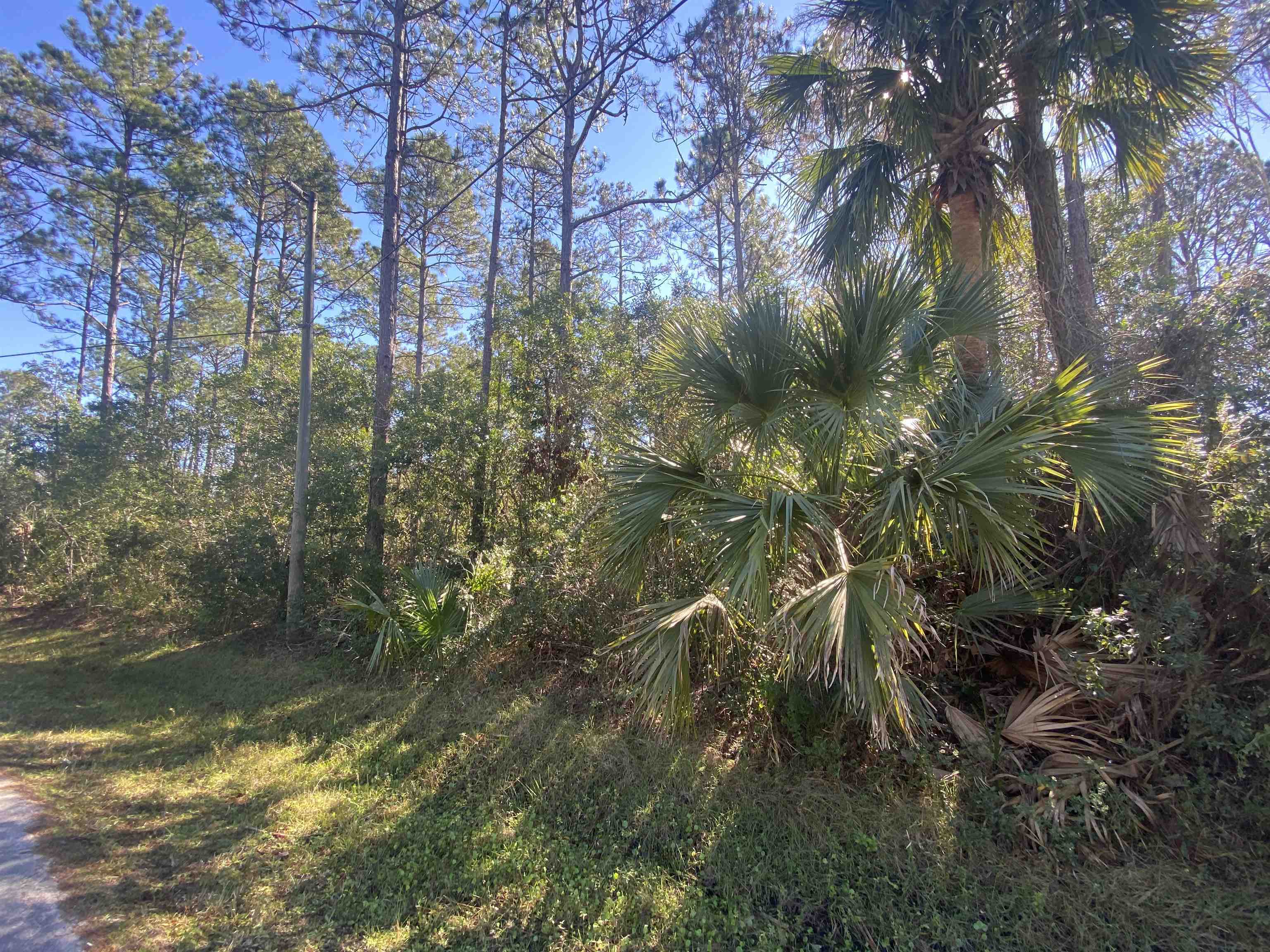 Property Photo:  104 Slumber Meadow Trl  FL 32164 