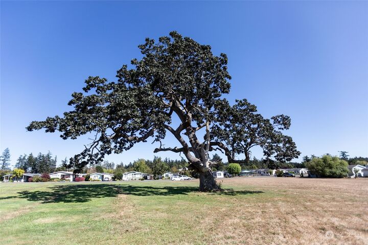 Property Photo: 1785 Douglas Road 60 WA 98250