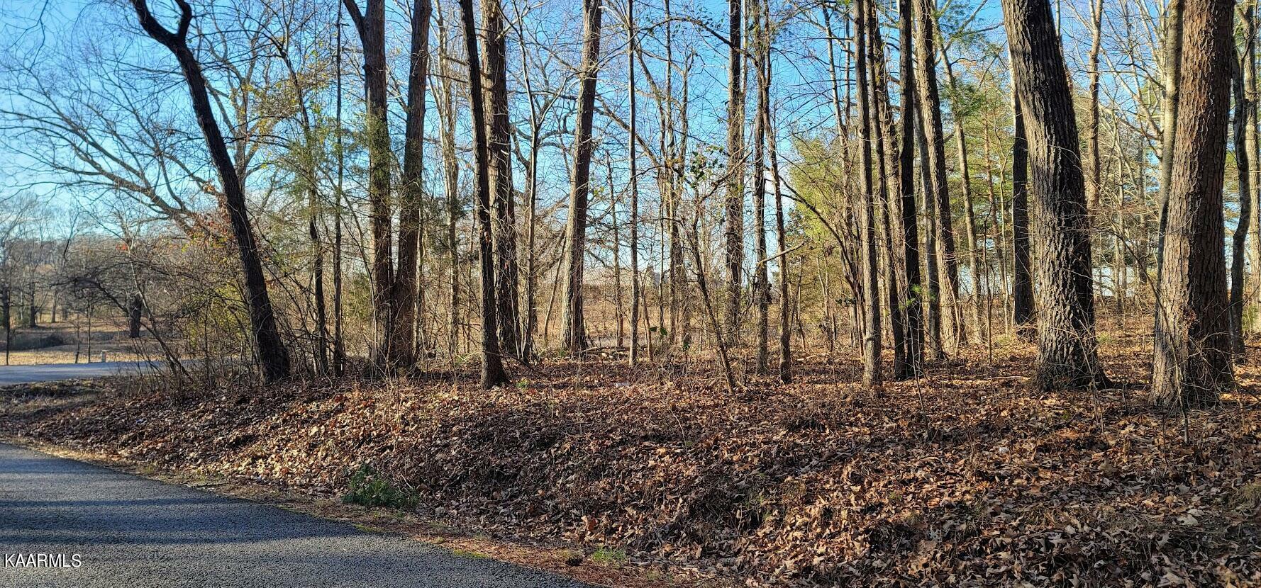 Property Photo: Lot 9 Mountain View Rd TN 37307