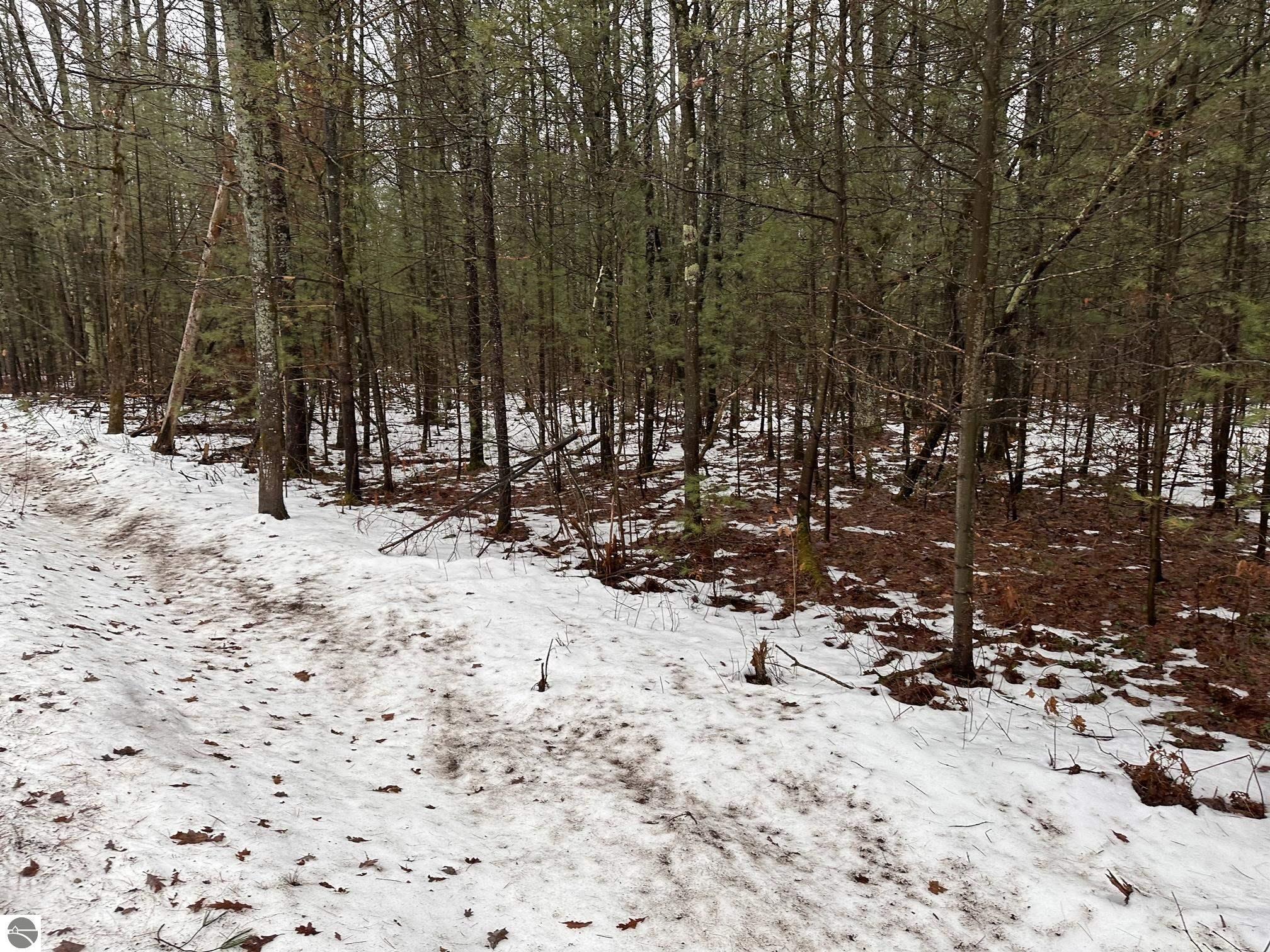 Property Photo: #B Albrecht MI 49643
