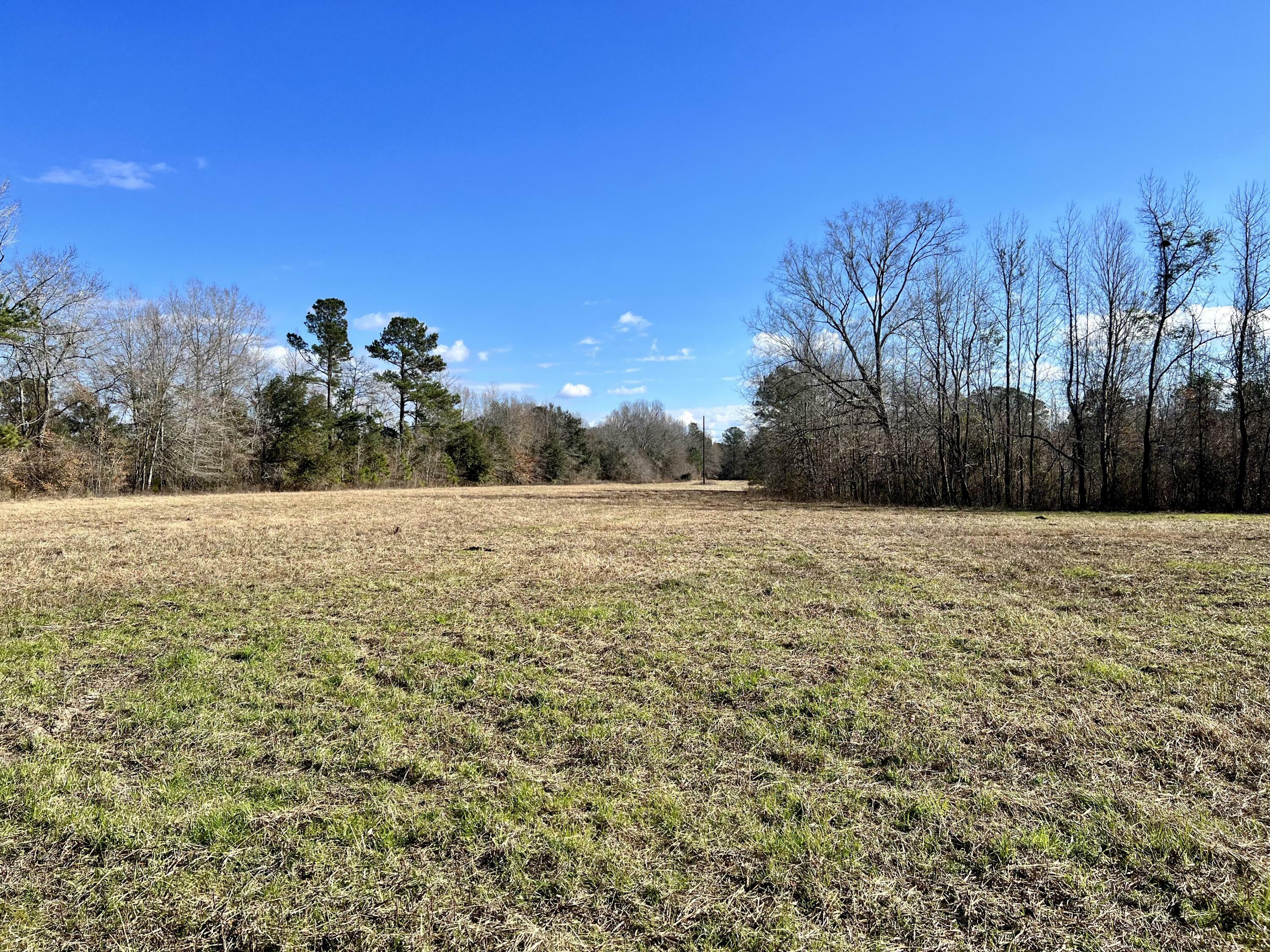 Property Photo:  640 Dennis Ridge Road  SC 29431 