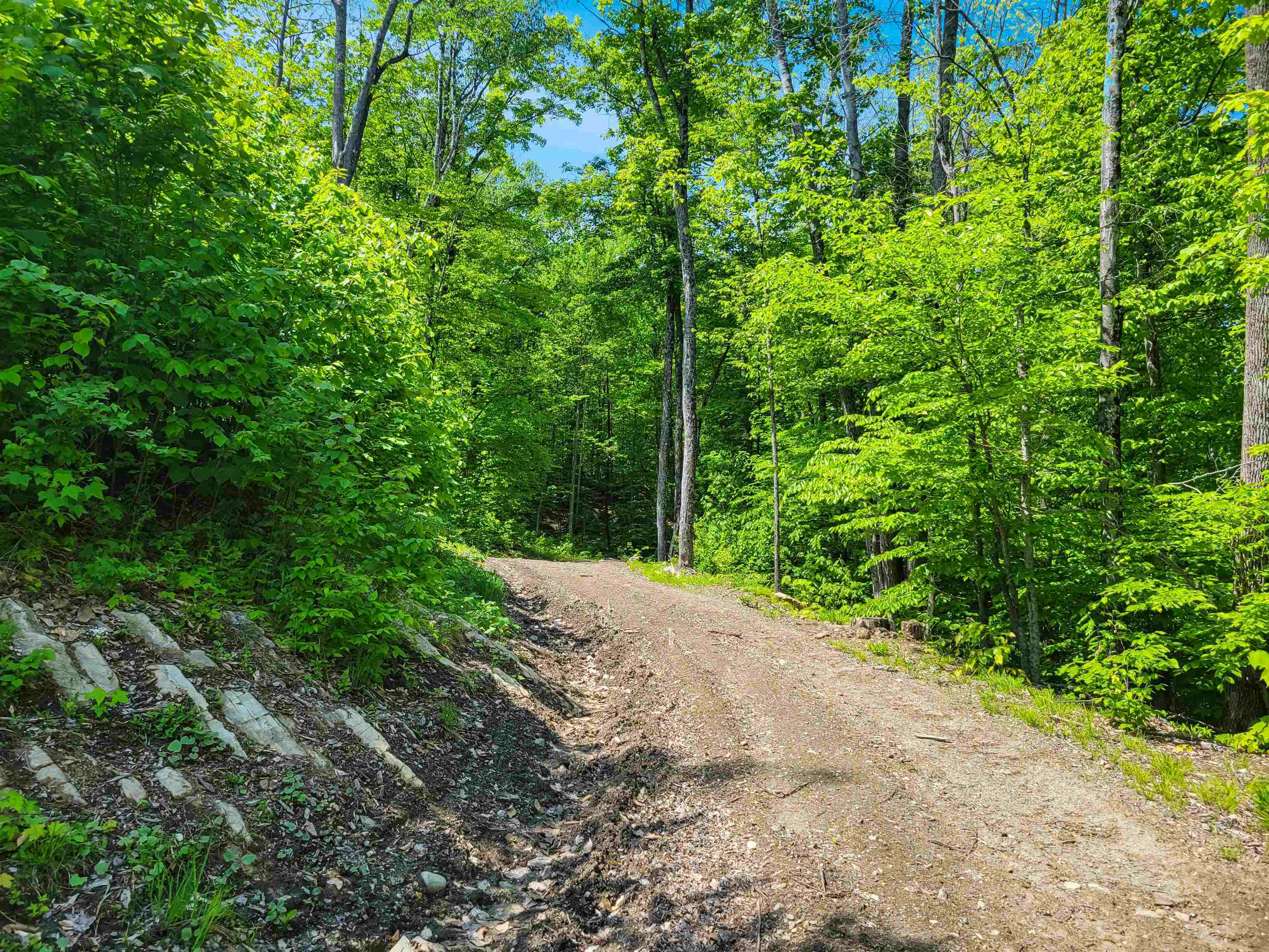 Property Photo:  791 Smutty Hollow Road  NH 03771 