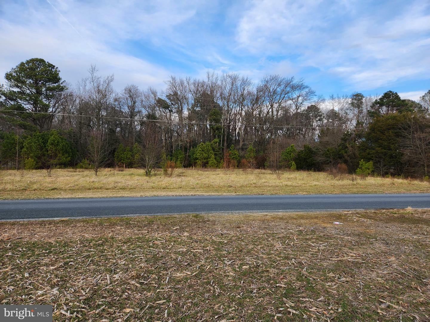 Property Photo:  0 Little Lane  MD 21801 