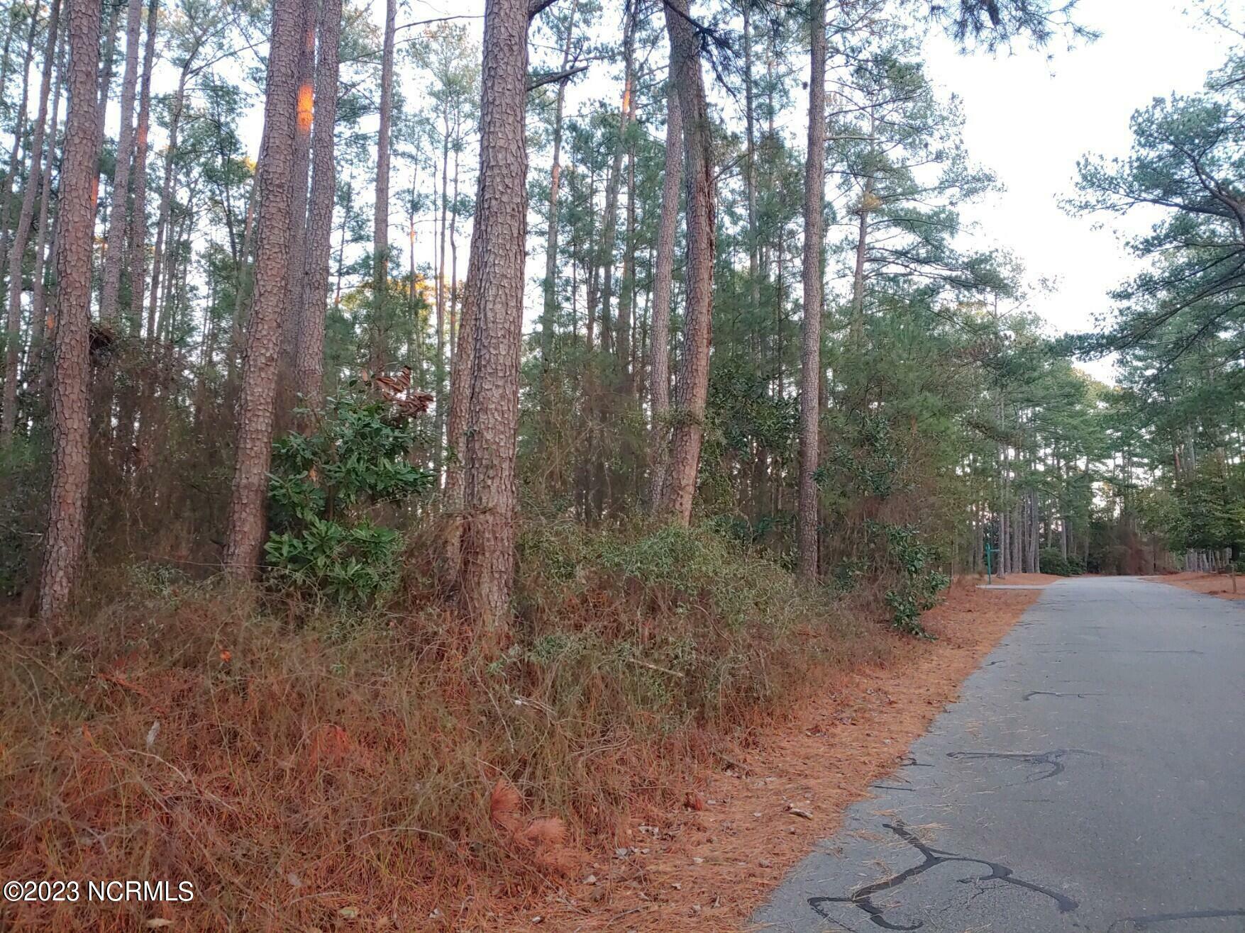 Property Photo:  6 Deer Track Road  NC 27281 