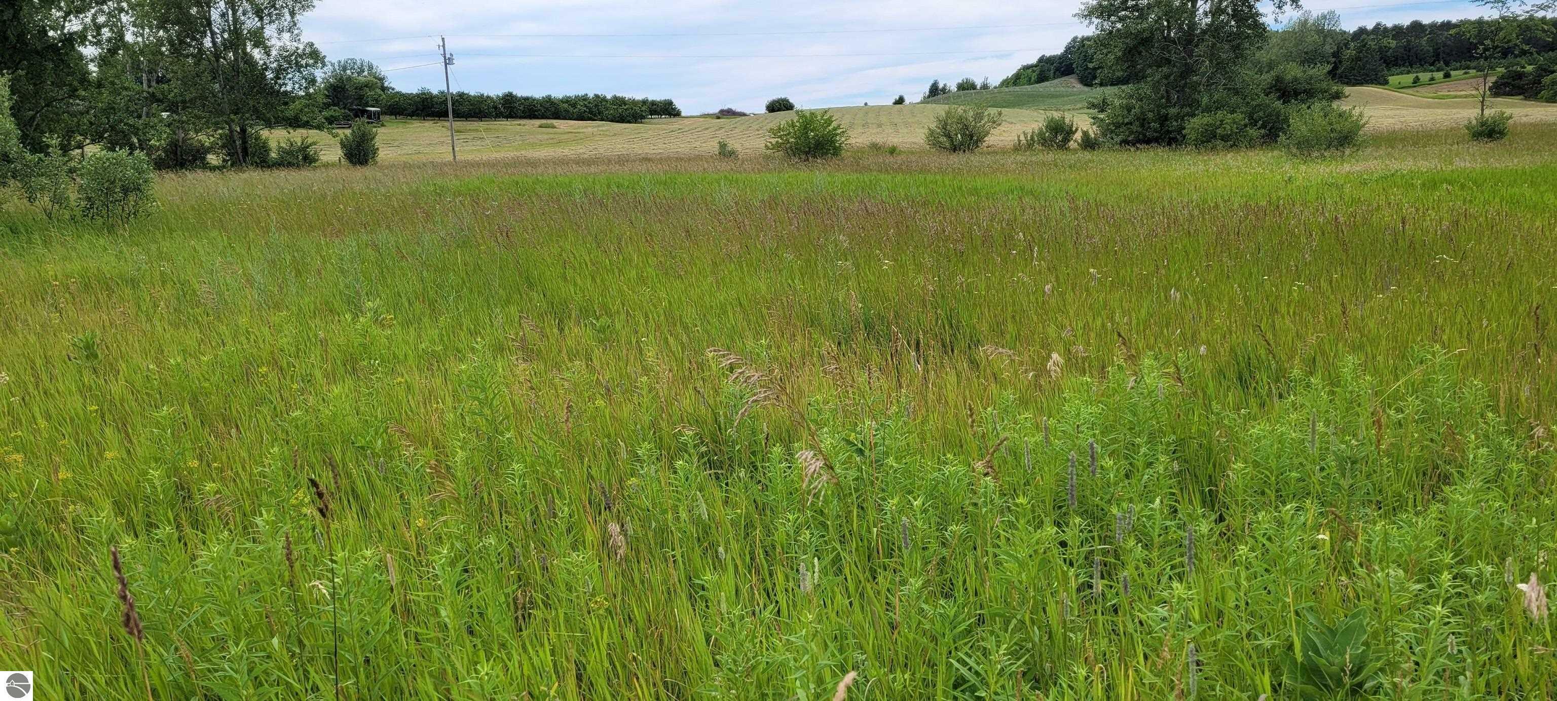 Property Photo: 0 E Harrys Road MI 49684