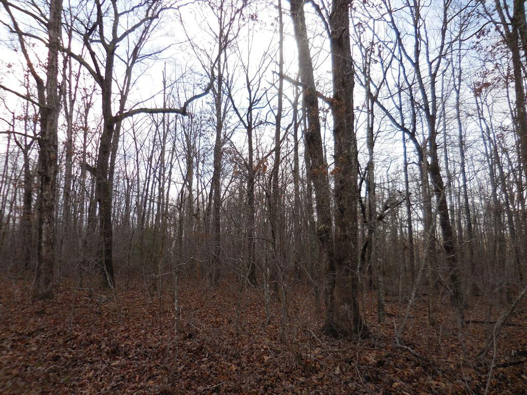 Property Photo: 3012 Diego Drive TN 38572