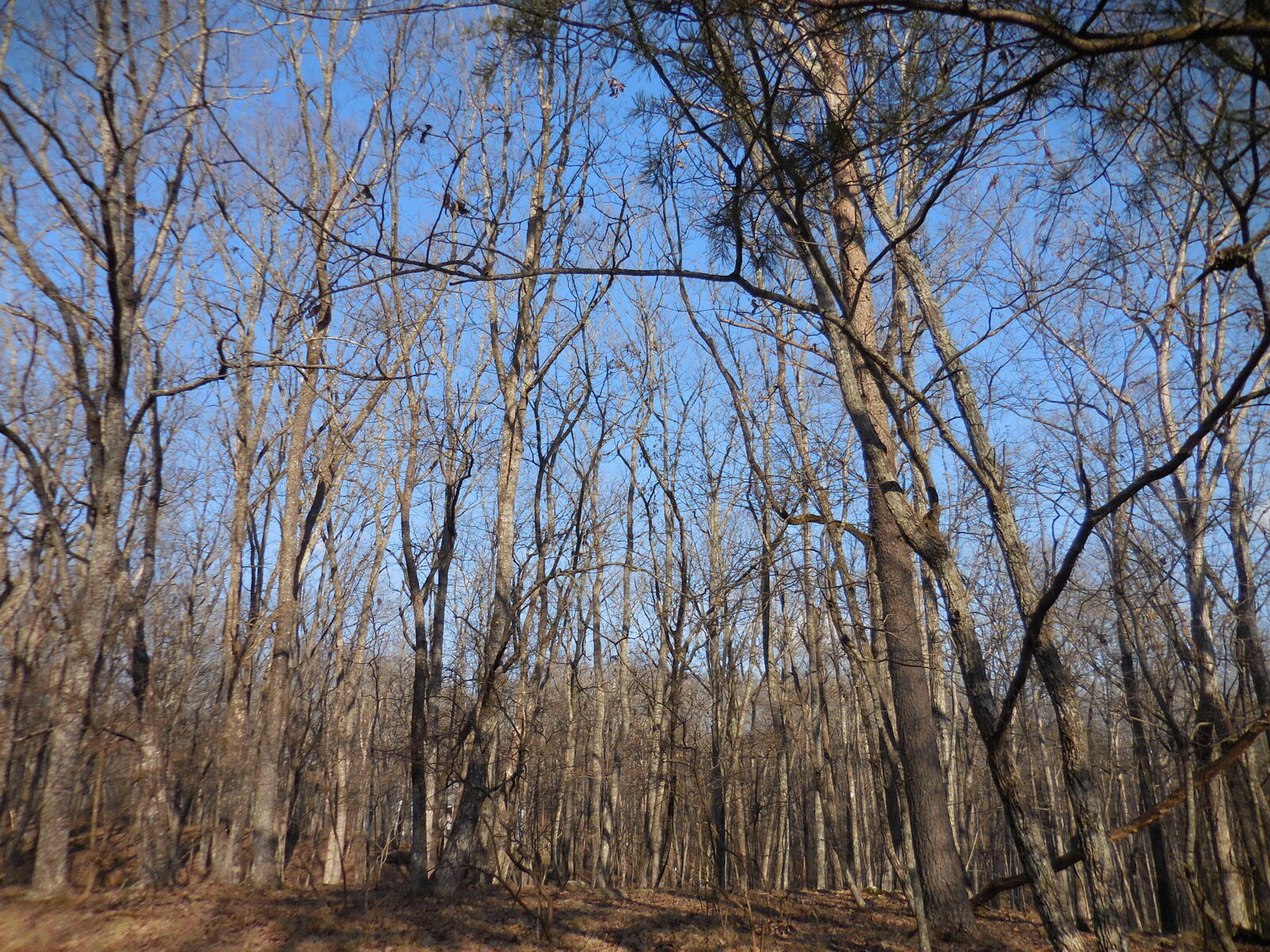 Property Photo:  133 Greenbrier Loop  TN 38558 