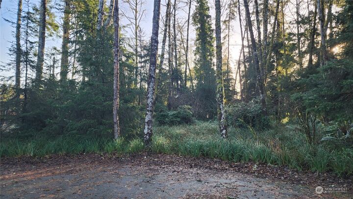 275 Pearsall Street SW  Ocean Shores WA 98569 photo