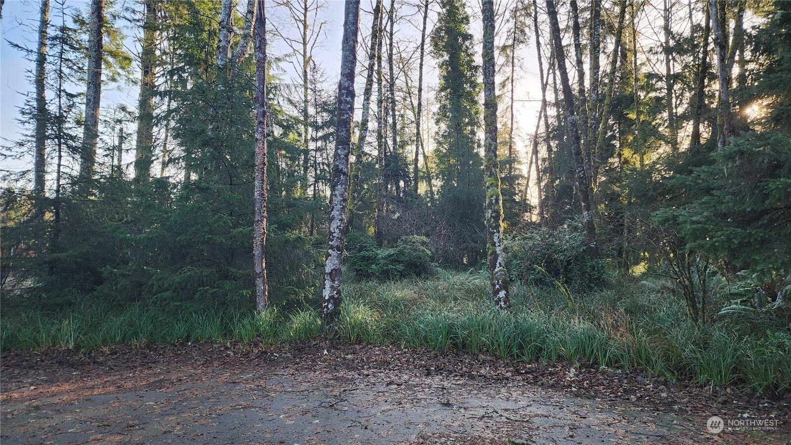 Property Photo:  275 Pearsall Street SW  WA 98569 