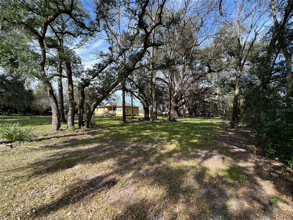 Property Photo:  1728 County Road 228  FL 34785 