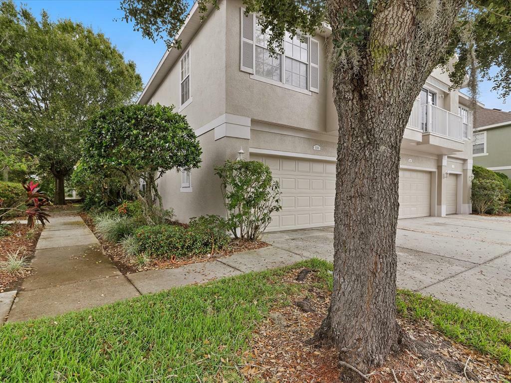 Property Photo:  5230 Blue Roan Way  FL 33544 