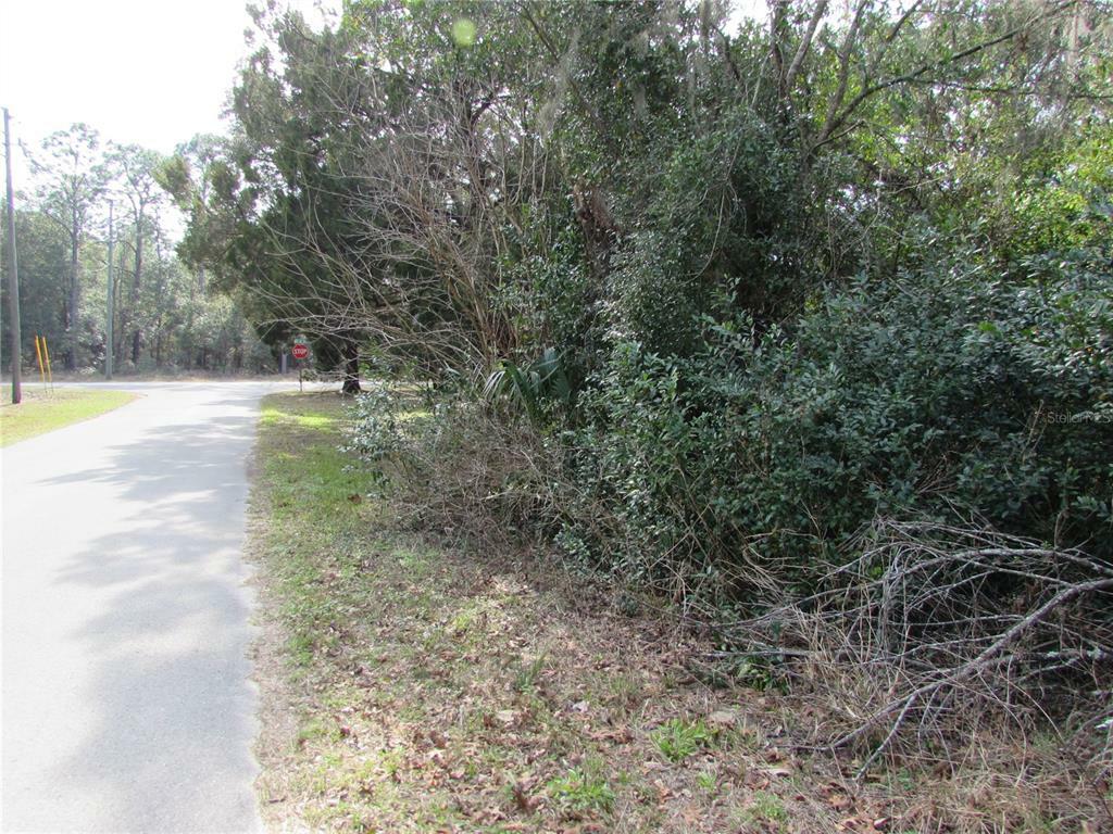 Property Photo:  Tbd SW 202nd Avenue  FL 34431 