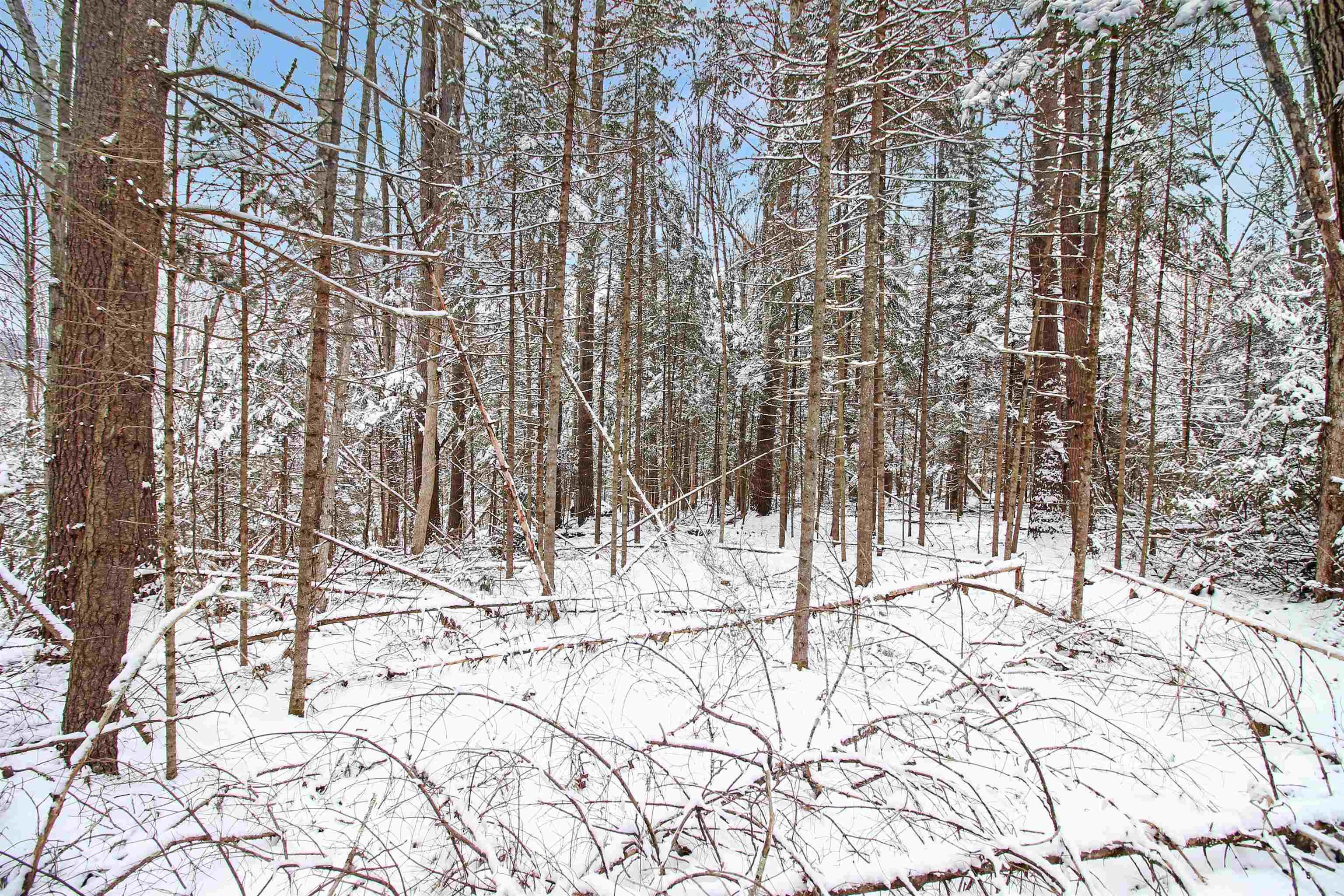 Property Photo:  204-269 King Drive  NH 03784 