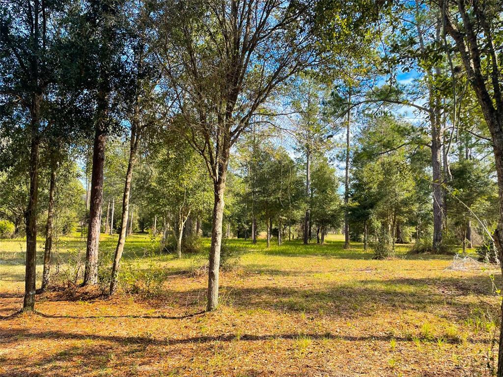 Property Photo:  Falabella Court  FL 34736 