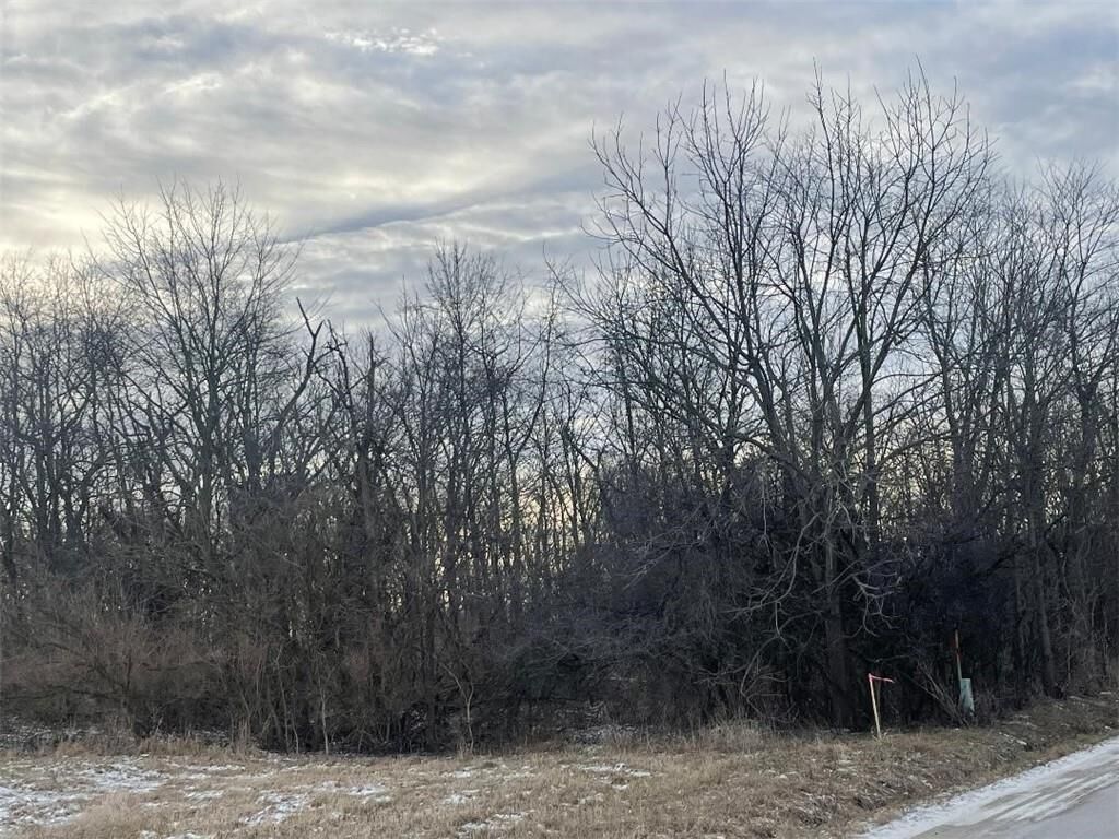 Property Photo:  Decker Springs Road  IL 61920 