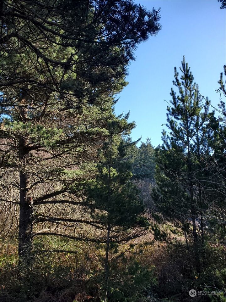 Property Photo:  1410 101st Lane  WA 98631 