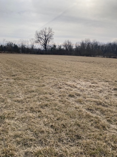 9475 Whitestown Road  Zionsville IN 46077 photo