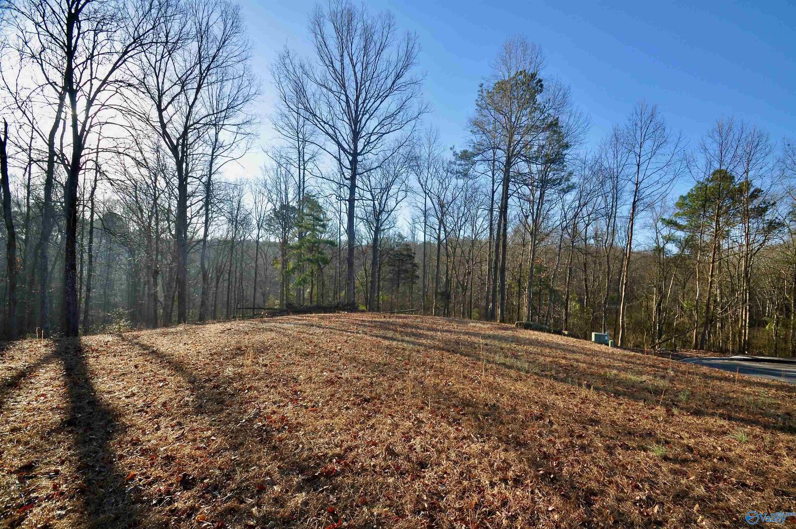 Property Photo:  Lot 5&Amp6 Ryan Creek Road  AL 35055 