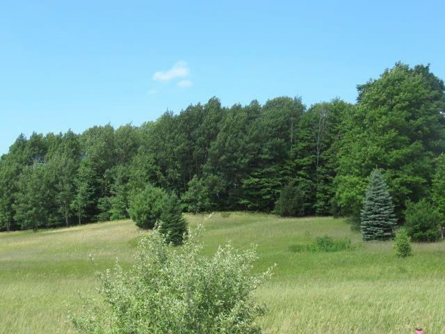 Property Photo: Lot #3 2.03 A E Lincoln Road MI 49621