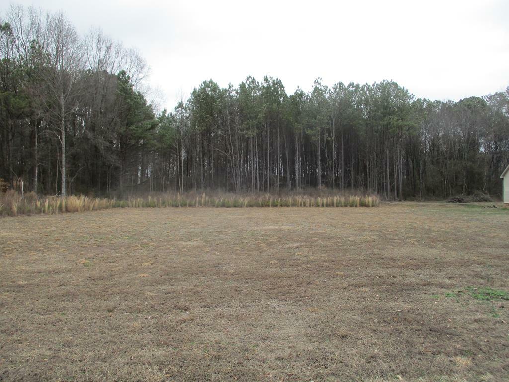 154 Brylow Drive  Dalton GA 30721 photo