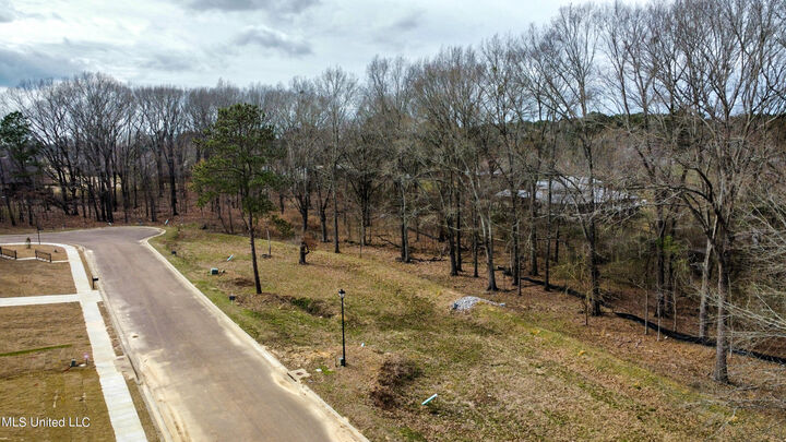 Property Photo: 102 Belle Fleur Lane MS 39056