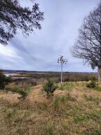 Property Photo:  1123 Saltwater Circle  SC 29455 