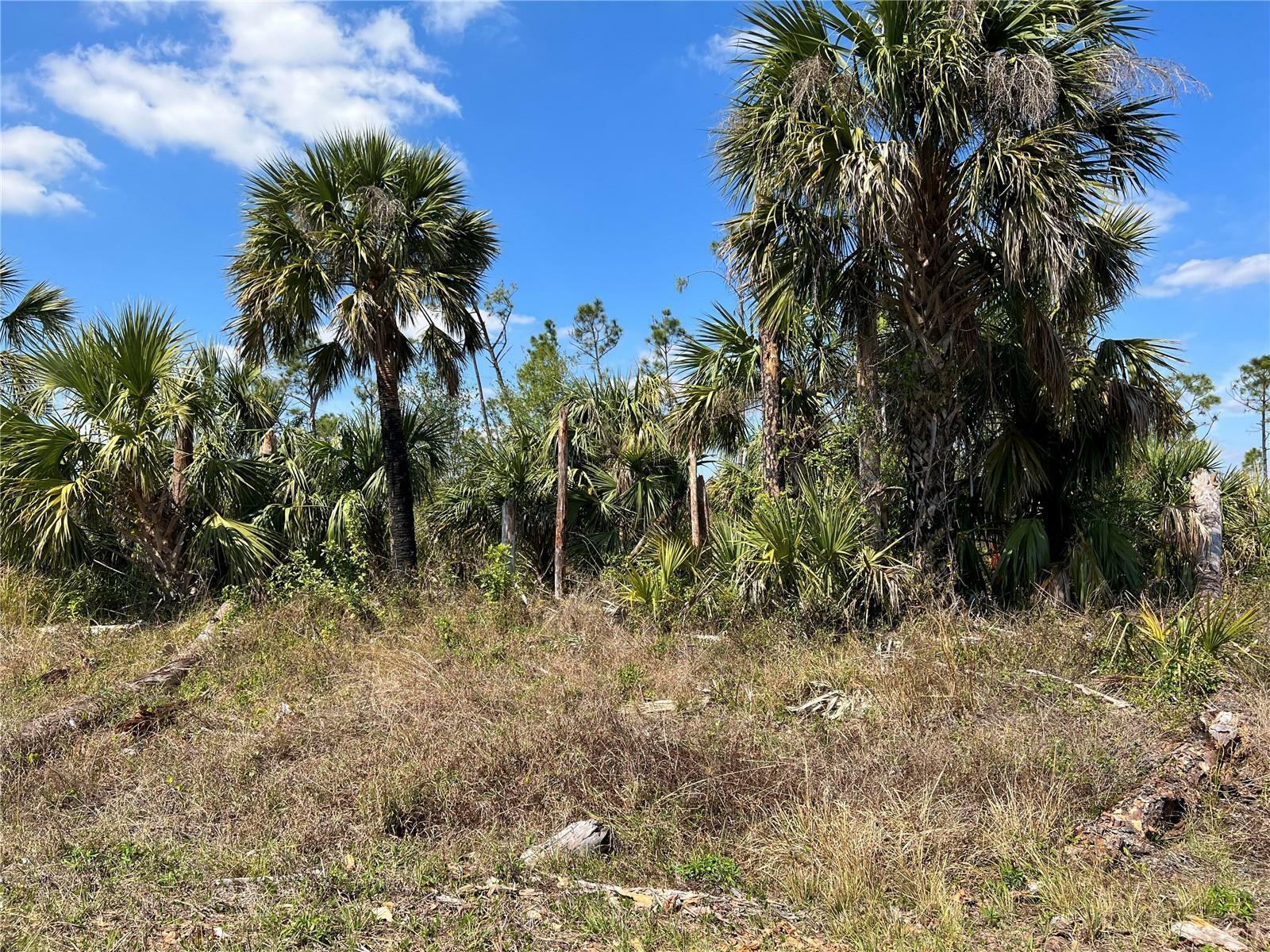 Fiveleaf Road  North Port FL 34288 photo