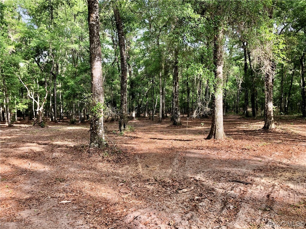 Property Photo:  11310 S Pleasant Grove Road  FL 34452 